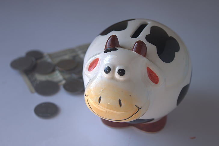 piggy-bank-savings-money-save-preview.jpg